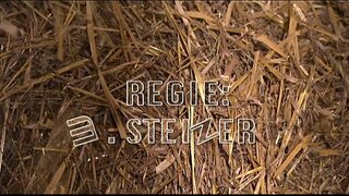 ��� Senne Lutschi