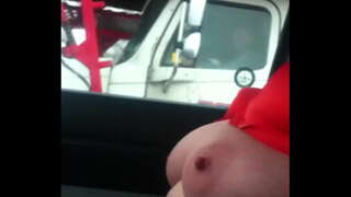 австралійський лис дражнить далекобійників