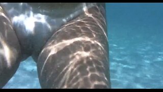 הייס פייגעלע ין די ד, די וואַסער אין פּאָרטאָ באַראַ דאַ סאַלוואַדאָר באַהיאַ