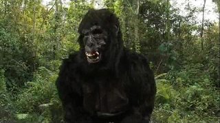 Kráľ Dong&amp;#039;s 40oz Odraziť!