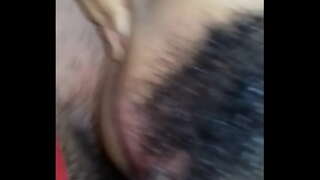 Eshak bu aflor uchun