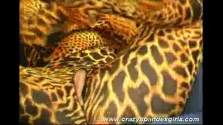 Aqldan spandex qiz masxara jinsiy aloqa