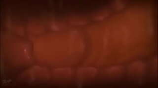 Bachadon ichida Cumming