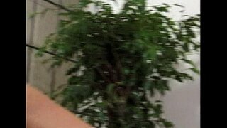 Ŝ�铁的女同志性爱场景8-提取2