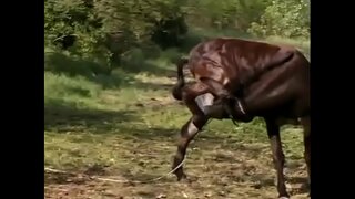 Tunde threesome کے